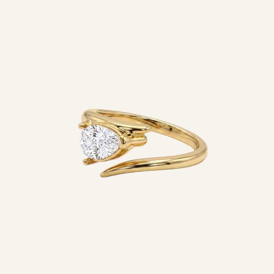 Ringe